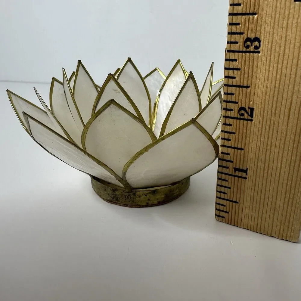 Unbranded capiz shell